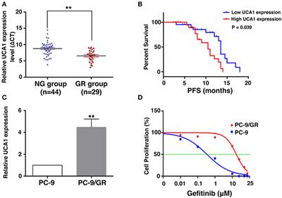 LncRNA UCA1 Induces Acquired Resistance to Gefitinib by Epigenetically Silencing CDKN1A Expression in Non-small-Cell Lung Cancer